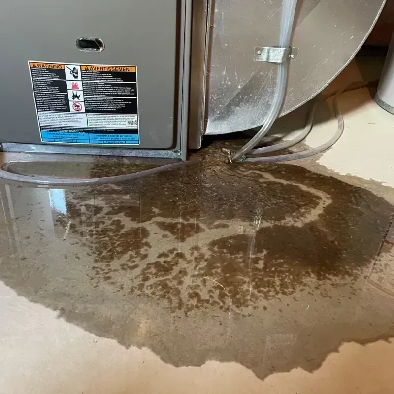 Appliance Leak Cleanup in Leland Grove, IL